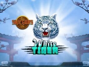 case tv jogos ao vivo